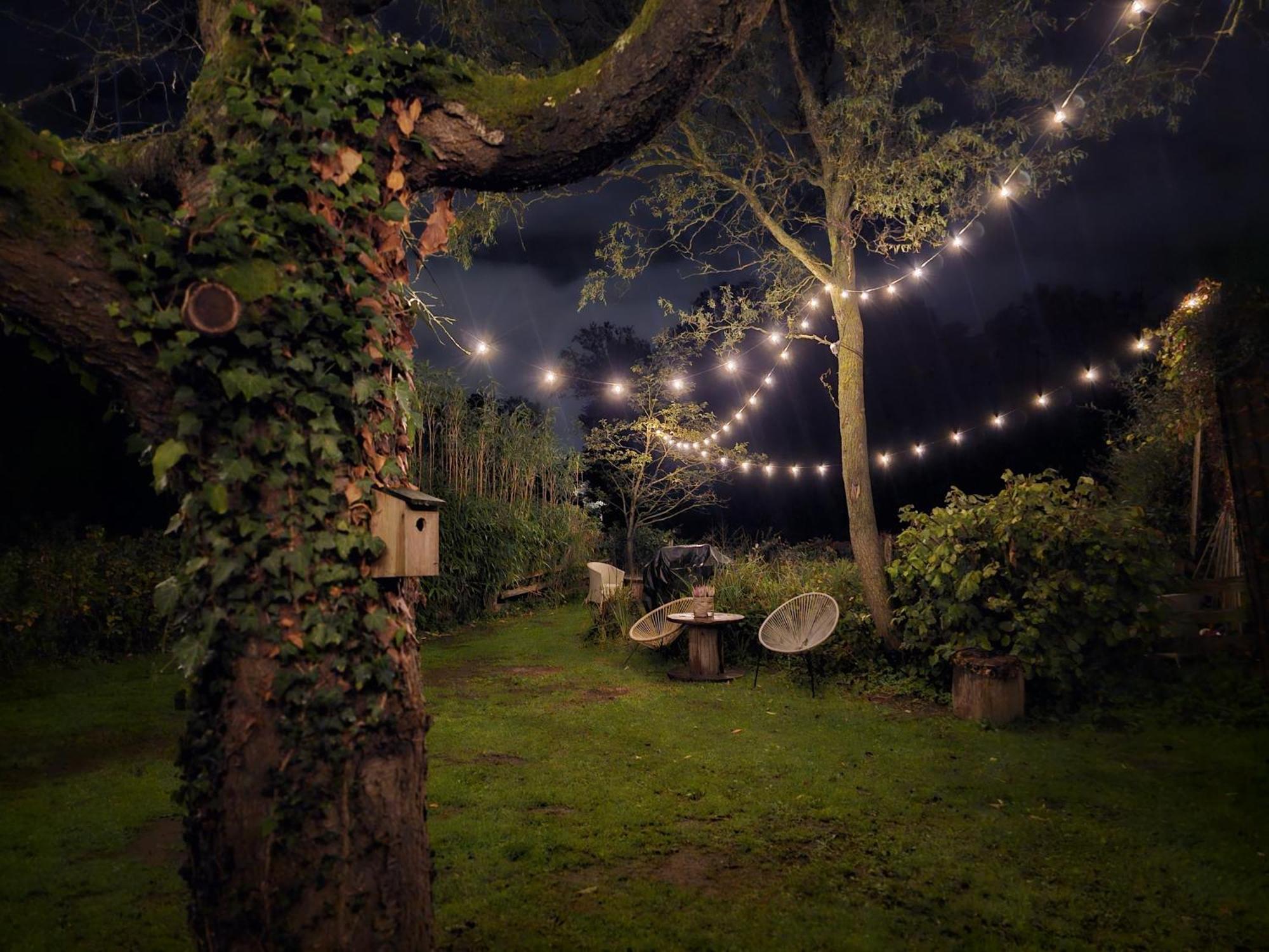 Weberhof-Muenster Glamping Hotel Exterior photo